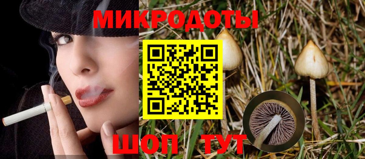 Галлюциногенные грибы мицелий Оренбург